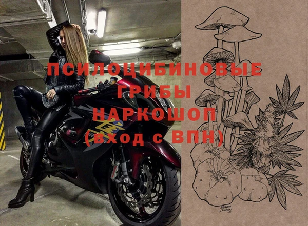 прущий лед Вяземский