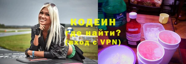 прущий лед Вяземский