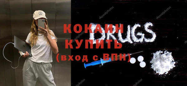 прущий лед Вяземский