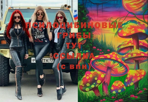 прущий лед Вяземский