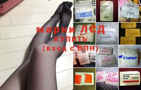 прущий лед Вяземский