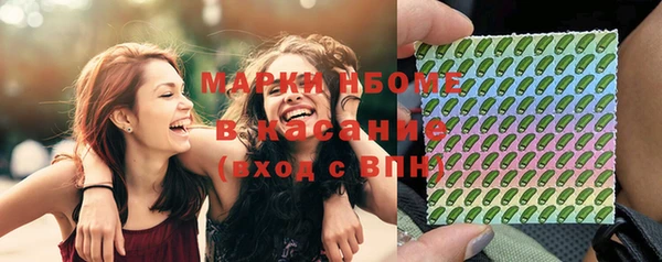 прущий лед Вяземский