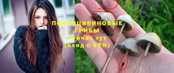 МДПВ Вязьма